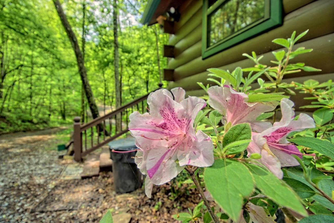 Tree Song Mountain Creek Cabin Ellijay Exteriör bild